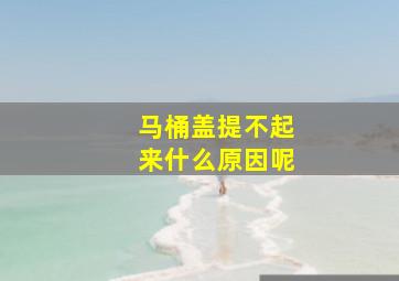 马桶盖提不起来什么原因呢