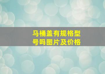 马桶盖有规格型号吗图片及价格