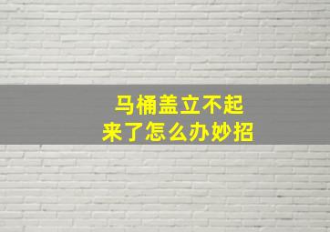 马桶盖立不起来了怎么办妙招