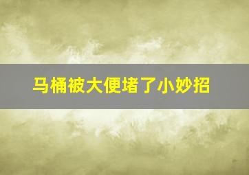 马桶被大便堵了小妙招