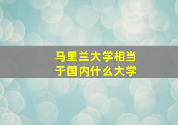 马里兰大学相当于国内什么大学