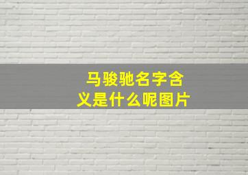 马骏驰名字含义是什么呢图片