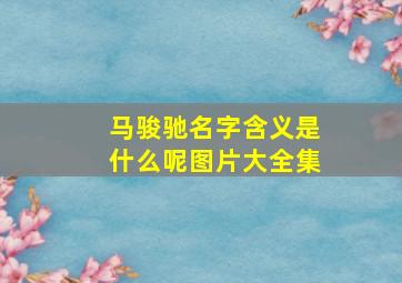 马骏驰名字含义是什么呢图片大全集