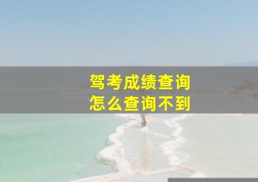 驾考成绩查询怎么查询不到