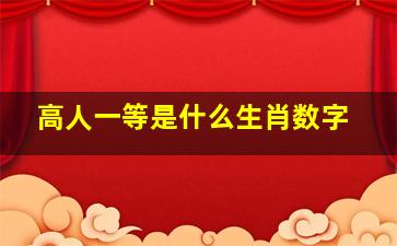 高人一等是什么生肖数字