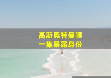 高斯奥特曼哪一集暴露身份