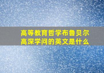 高等教育哲学布鲁贝尔高深学问的英文是什么