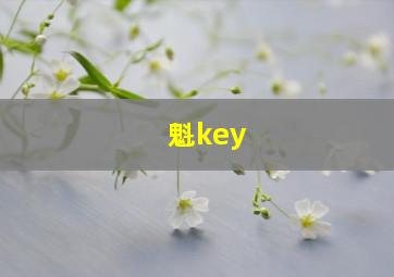 魁key