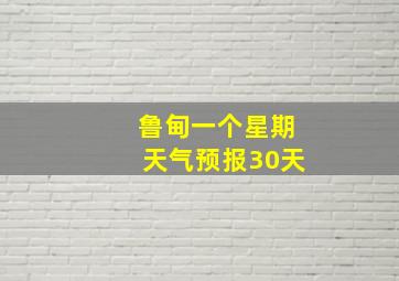 鲁甸一个星期天气预报30天