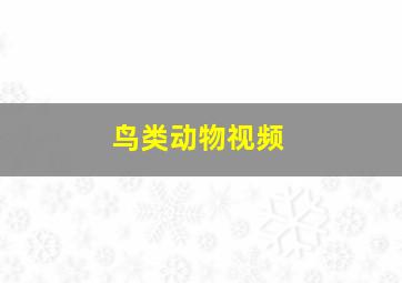 鸟类动物视频