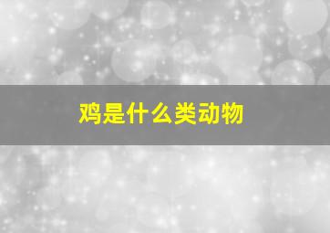 鸡是什么类动物