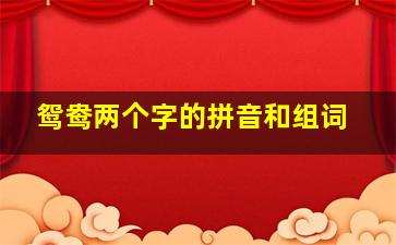 鸳鸯两个字的拼音和组词