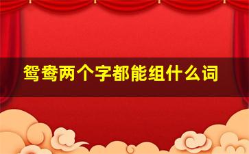 鸳鸯两个字都能组什么词