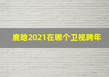 鹿晗2021在哪个卫视跨年