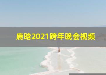 鹿晗2021跨年晚会视频