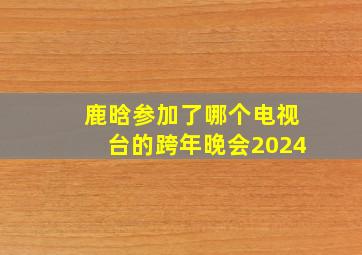 鹿晗参加了哪个电视台的跨年晚会2024