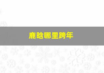 鹿晗哪里跨年