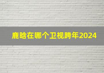 鹿晗在哪个卫视跨年2024