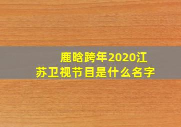 鹿晗跨年2020江苏卫视节目是什么名字