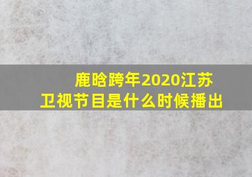 鹿晗跨年2020江苏卫视节目是什么时候播出