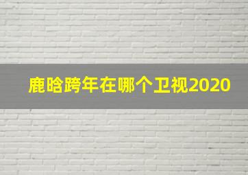 鹿晗跨年在哪个卫视2020