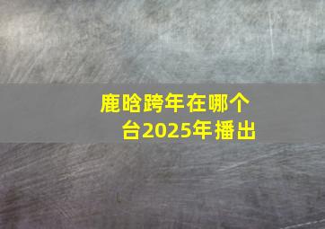 鹿晗跨年在哪个台2025年播出