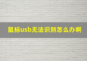 鼠标usb无法识别怎么办啊