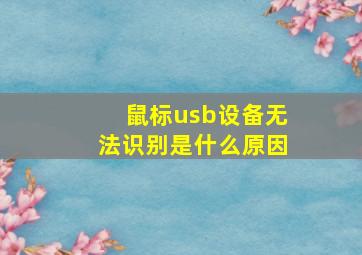 鼠标usb设备无法识别是什么原因