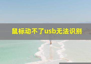 鼠标动不了usb无法识别