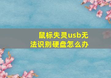 鼠标失灵usb无法识别硬盘怎么办