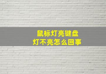 鼠标灯亮键盘灯不亮怎么回事