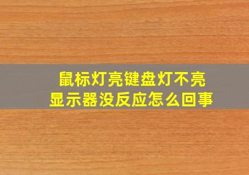 鼠标灯亮键盘灯不亮显示器没反应怎么回事