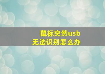 鼠标突然usb无法识别怎么办