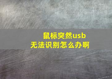 鼠标突然usb无法识别怎么办啊