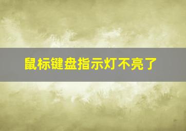 鼠标键盘指示灯不亮了