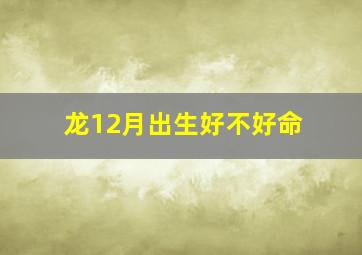 龙12月出生好不好命