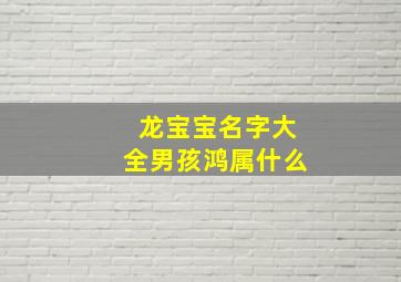 龙宝宝名字大全男孩鸿属什么