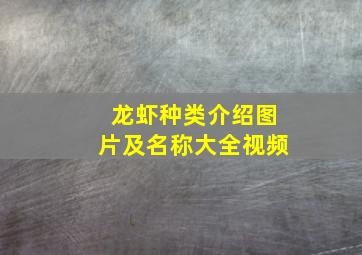 龙虾种类介绍图片及名称大全视频